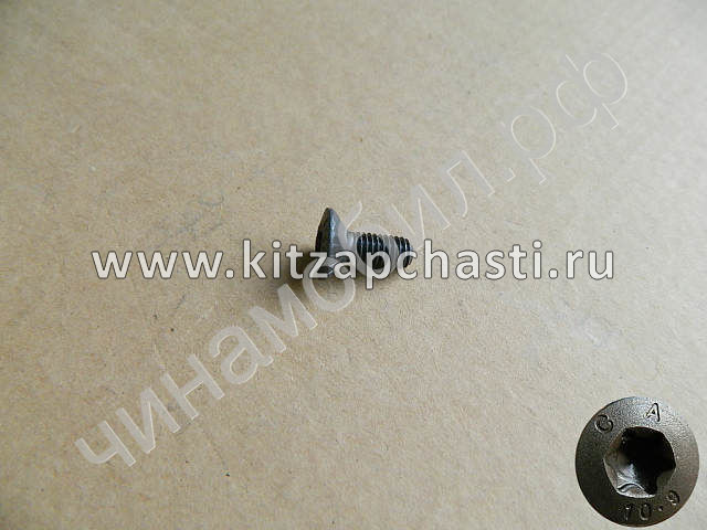 Винт крепежный диска коленвала HAVAL Wingle 7 1005017XEC01
