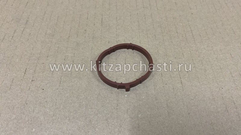 Прокладка впускного коллектора Jac S3 1008103GG010