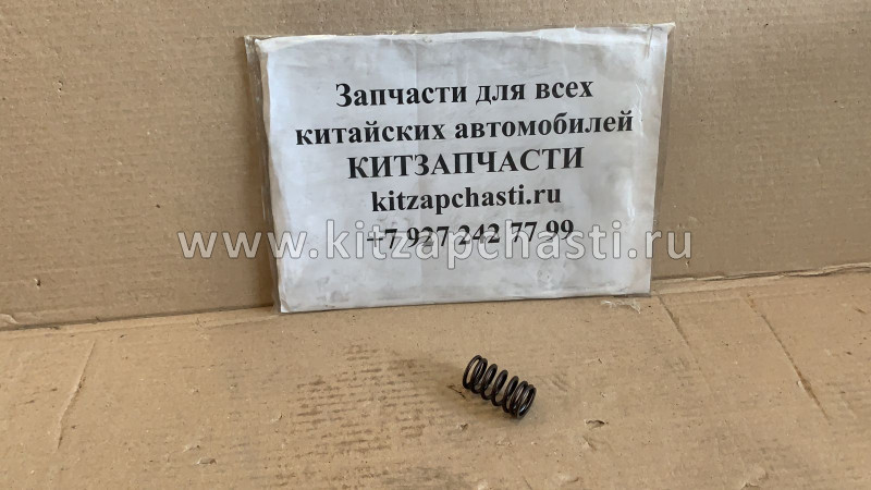 Пружина клапана Livan X6 PRO 1030002900