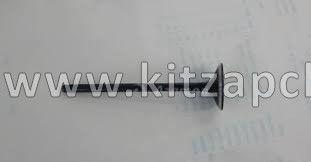Клапан выпускной Livan X6 PRO2,0 1030003200