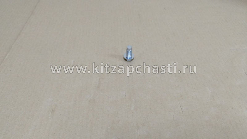 Пробка сливная масляного картера двигателя 1.8 Geely Emgrand 7 New SS11 1056006000