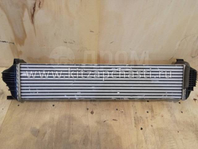 Интеркулер Chery Tiggo 9 302000800AA