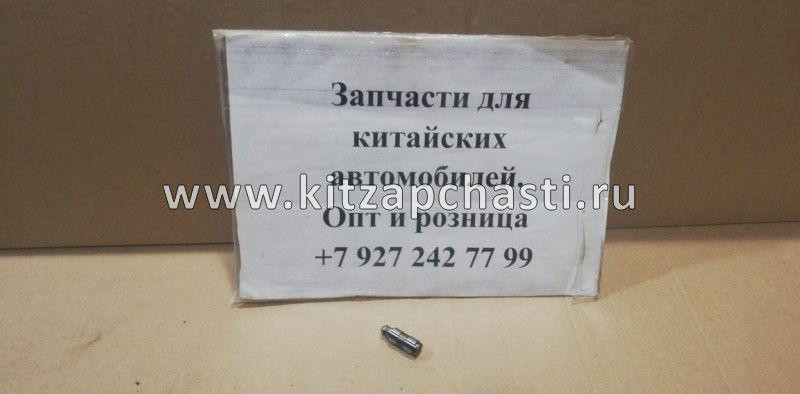 Гидрокомпенсатор клапана EXEED VX FL 481H1007040AB