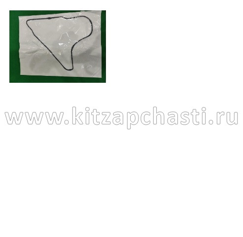 Пленка задней левой двери Belgee X50+ 5081039500