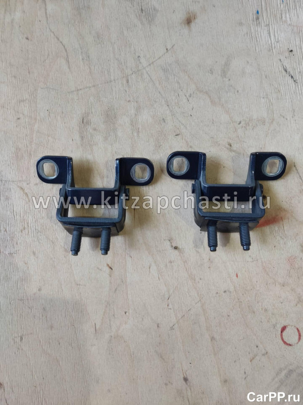 Петля двери багажника EXEED TXL FL 552000040AADYJ