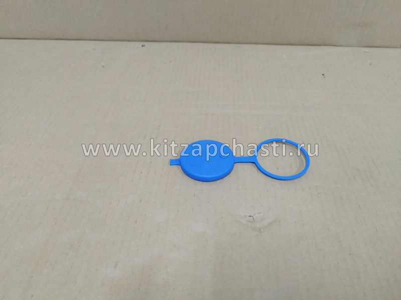 Крышка бачка омывателя EXEED VX 607000099AA