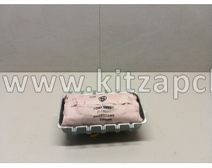 Подушка безопасности пассажира Hongqi H9 8230210DB01