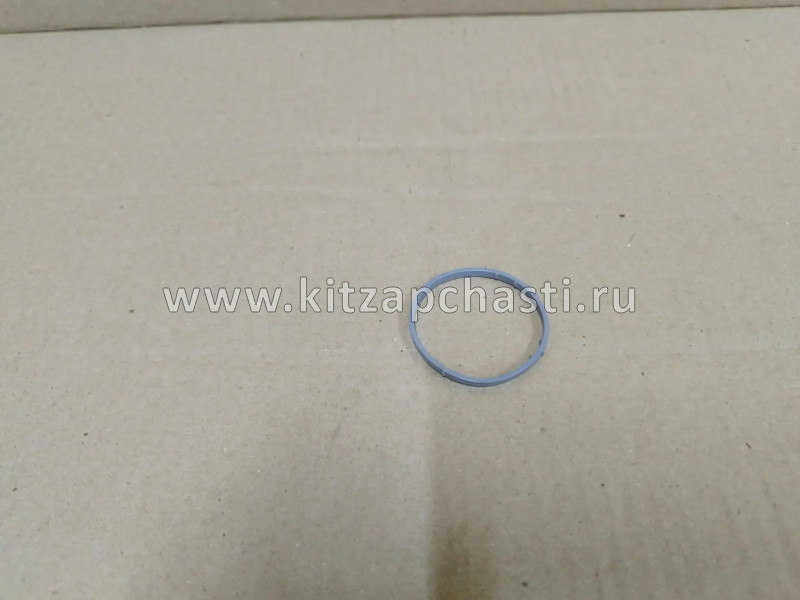 КОЛЬЦО УПЛОТНИТЕЛЬНОЕ НИЖНЕЕ ТЕРМОСТАТА Chery Tiggo 3 E4G16-1303131