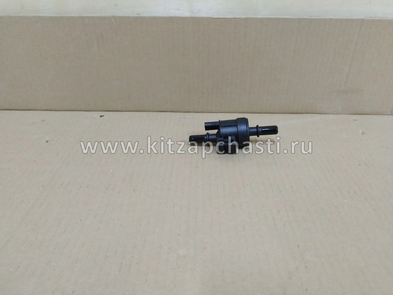 Клапан абсорбера топливного  EXEED LX F4J16-1130011
