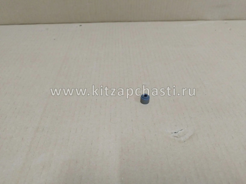 Колпачок маслосъёмный EXEED VX FL F4J161007071
