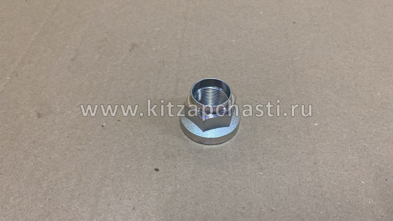 Гайка ступицы Chery Arrizo 8  FQ33A24T12F36