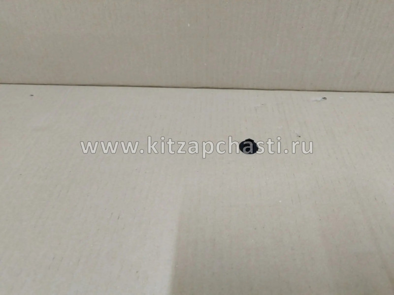 Пистон крепления подкрылка EXEED VX  J60-3102031